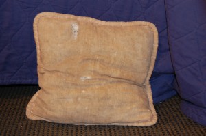 Old Pillow