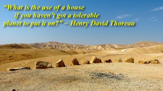 Henry David Thoreau quote