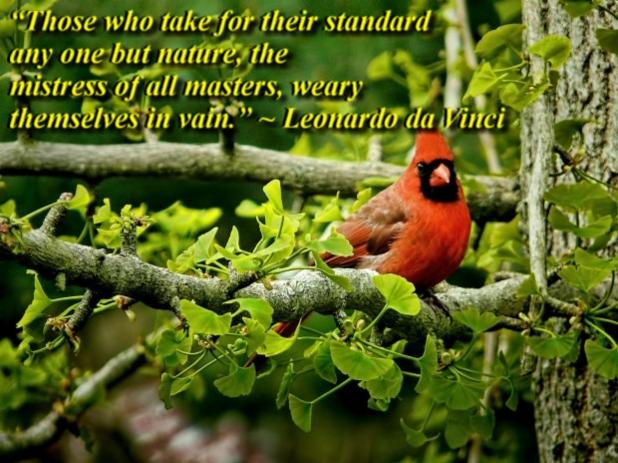 Those who take for their standard 