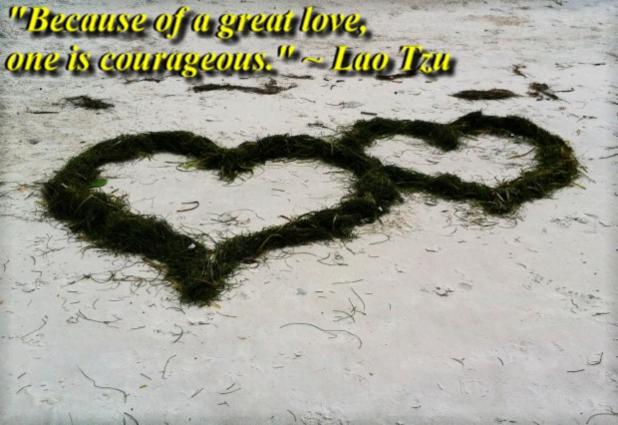 "Because of a great love, one is courageous." ~ Lao Tzu 