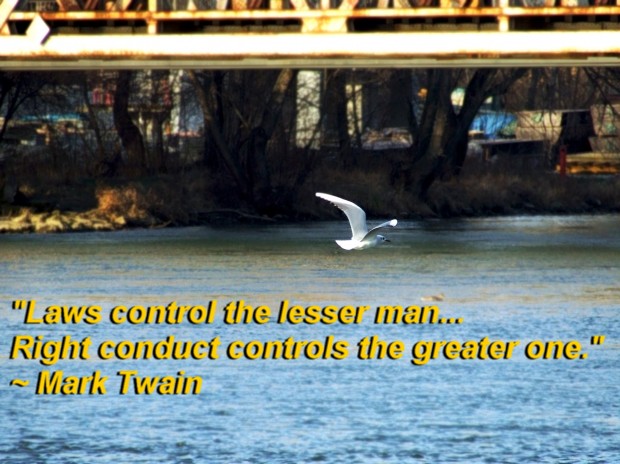 "Laws control the lesser man... Right conduct controls the greater one." ~ Mark Twain 