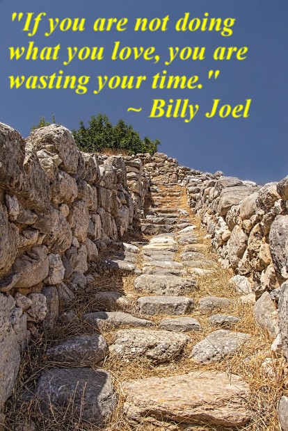 "If you are not doing what you love, you are wasting your time." ~ Billy Joel
