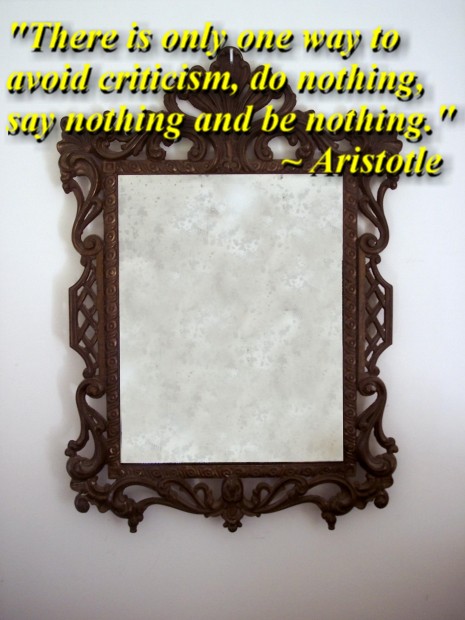 "There is only one way to avoid criticism, do nothing, say nothing and be nothing." ~ Aristotle