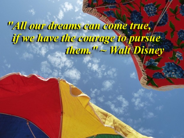 "All our dreams can come true, if we have the courage to pursue them." ~ Walt Disney 