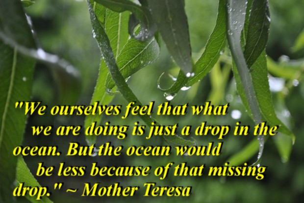 "We ourselves feel that what we are doing is just a drop in the ocean. But the ocean would be less because of that missing drop." ~ Mother Teresa