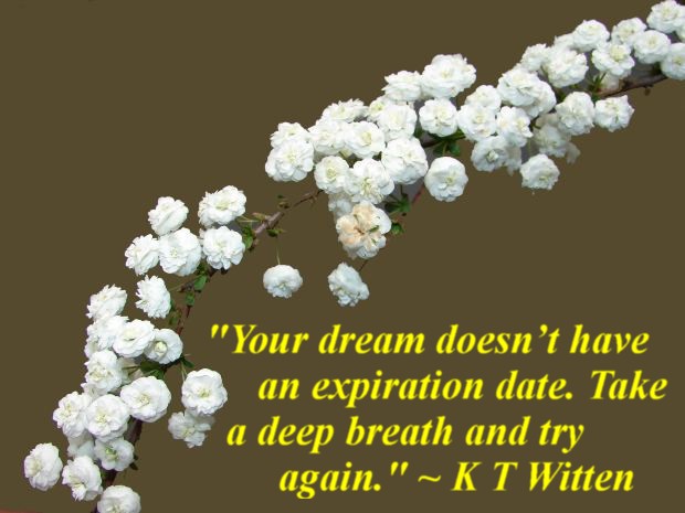 "Your dream doesn’t have an expiration date. Take a deep breath and try again." ~ K T Witten