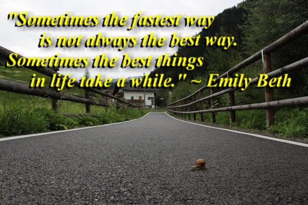  "Sometimes the fastest way is not always the best way. Sometimes the best things in life take a while." ~ Emily Beth 