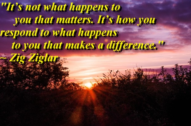 "It’s not what happens to you that matters. It’s how you respond to what happens to you that makes a difference." ~ Zig Ziglar 