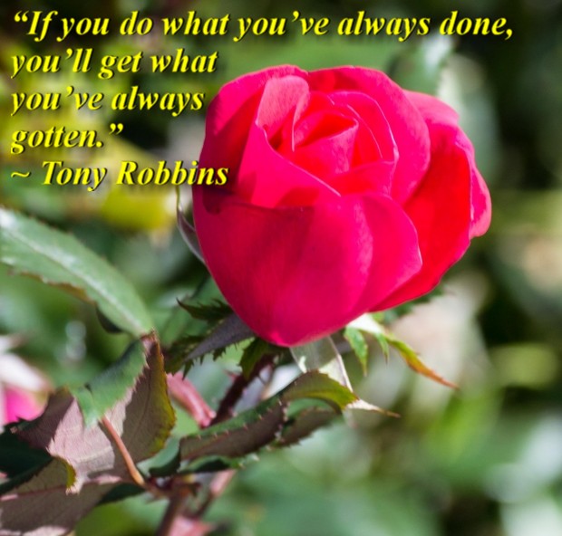 “If you do what you’ve always done, you’ll get what you’ve always gotten.” ~ Tony Robbins 