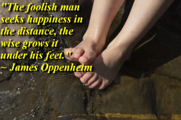 "The foolish man seeks happiness in the distance, the wise grows it under his feet." ~ James Oppenheim