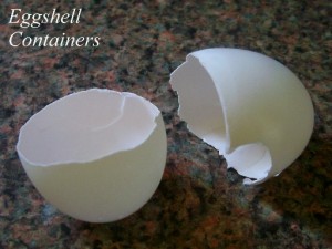 Starting Seeds in Eggshells