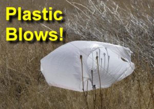 The Road to Zero Waste Step 1: Plastic Bags