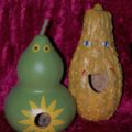 Birdhouse Gourds