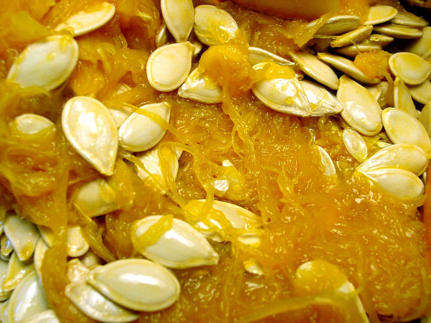 Pumpkin seed saving