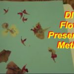3 Flower Preservation Methods: Air drying, Silica Crystal, and Pressing