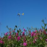 Renewable Energy Doesn’t Have to Be Ugly