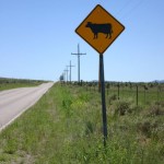 How to Repel Flies With Diesel Fuel