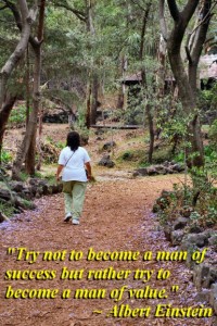 Try not to become a man of success