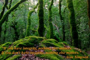 if you have integrity