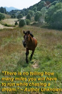 There is no telling how many miles