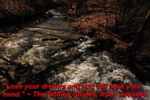 Lose your dreams and you