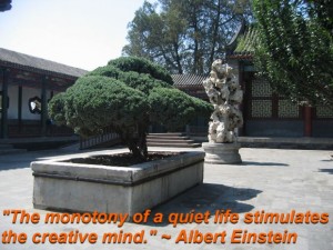 The monotony of a quiet life