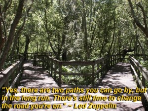 There are two paths you can go by