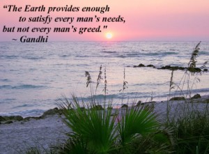 The Earth provides enough