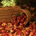 Homemade Apple Cider