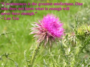 Covetousness is the greatest misfortune