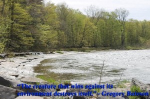 The creature that wins