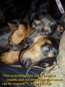 Not everything that can be counted