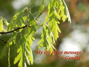 My life is my message