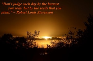 Don’t judge each day