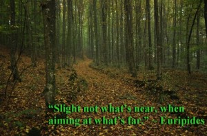 Slight not what’s near