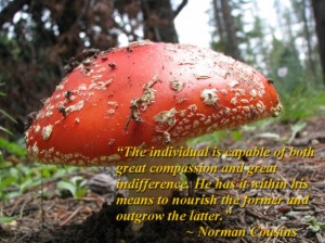 The individual is capable