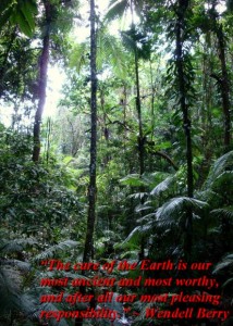 The care of the Earth
