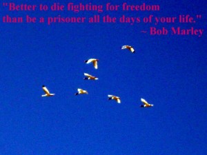 Better to Die Fighting