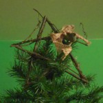 How to Make a Rustic Christmas Star