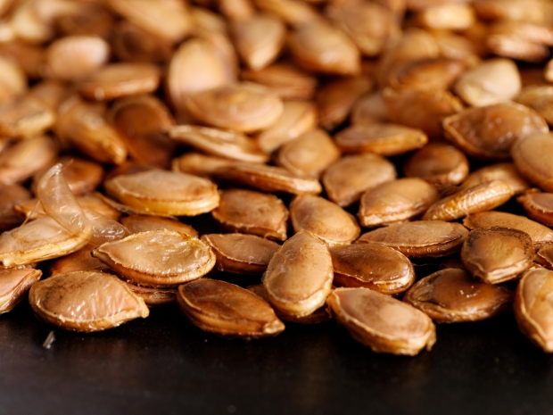 Does Monsanto Own Schumway Seeds?