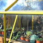 Making a Cold Frame