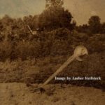 In Praise of the Wheel Hoe