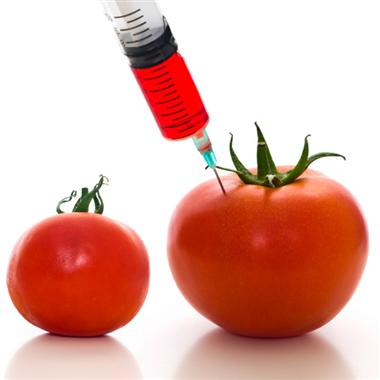 GMO vs hybrid