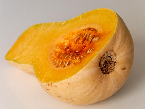 How to Cook a Squash