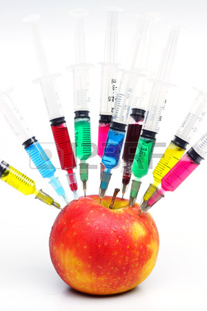 Genetically Modified Food Health Risks