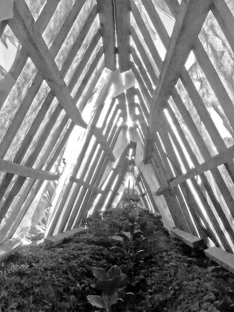 DIY Greenhouse Underground