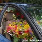 A Week at the Farm Market Day 4: Wednesday