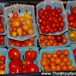 A Week at the Farm Market Day 5: Thursday