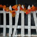 Halloween Decoration Ideas