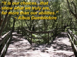 “It is our choices...that show what we truly are, far more than our abilities.” ~ Albus Dumbledore
